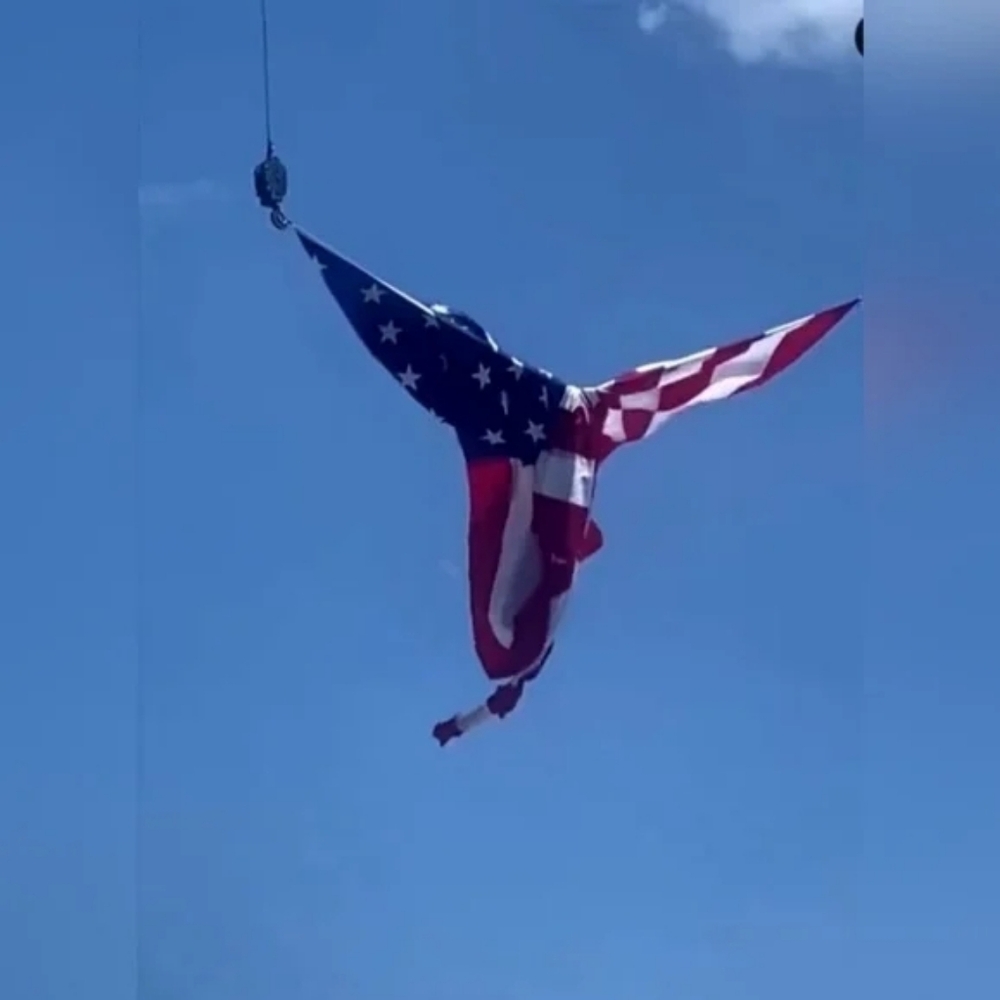 🪽XXL💎 VS '24 Fashion Show The T-shirt Shine Cotton Wireless Plunge Bralette 💎 - Picture 14 of 15